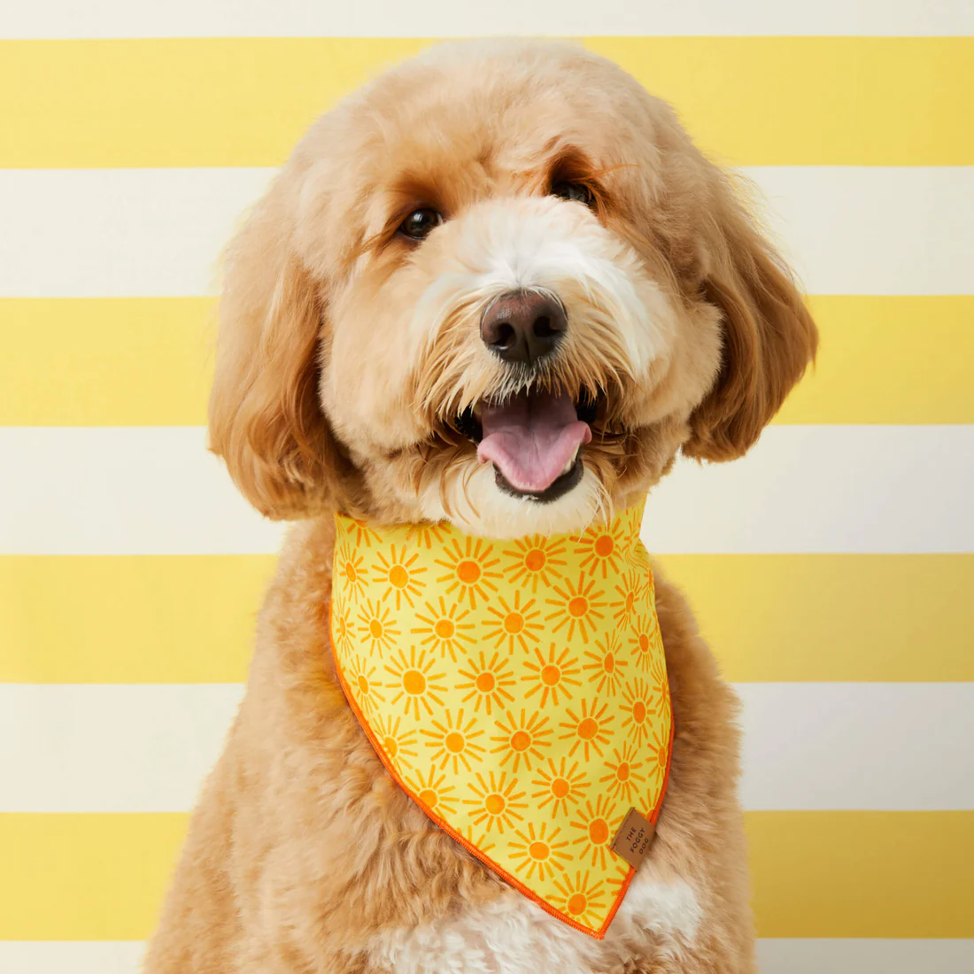 HereComesTheSun_Bandana