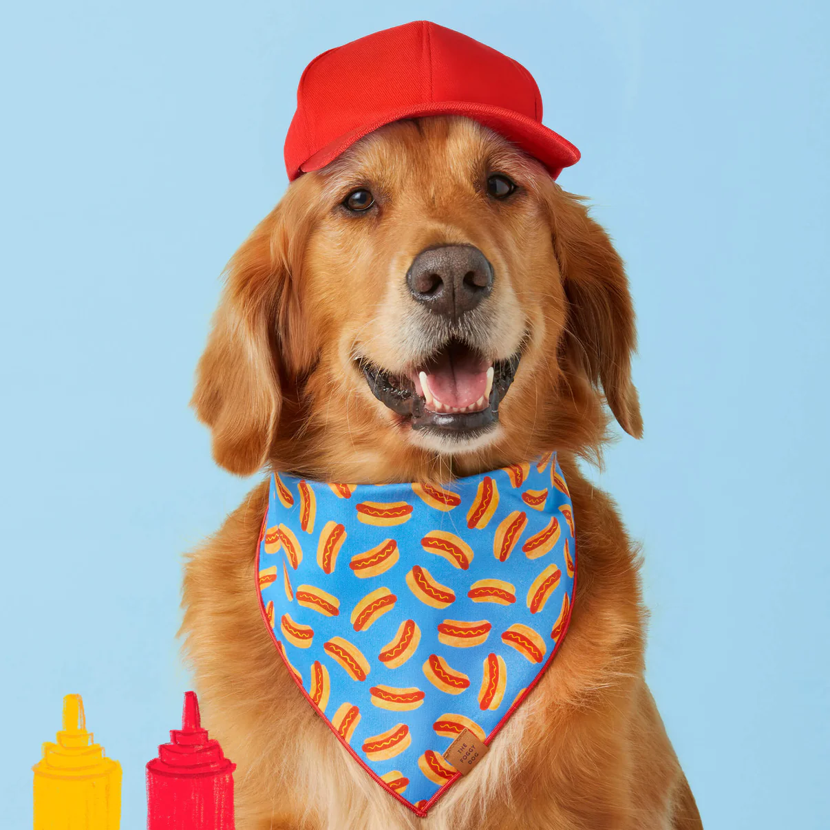 HotDiggity_Bandana_ZOOM