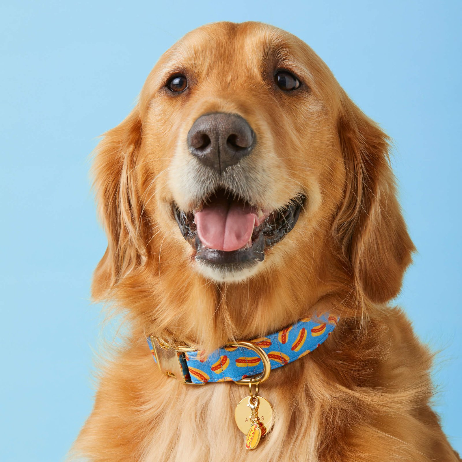 HotDiggity_Collar_Charm2