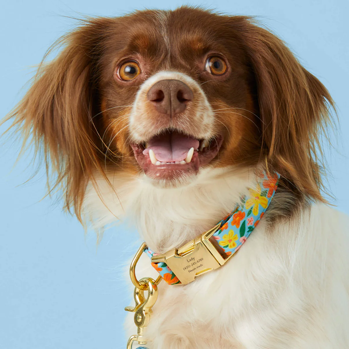 IslandTimeCollar_Engraved2