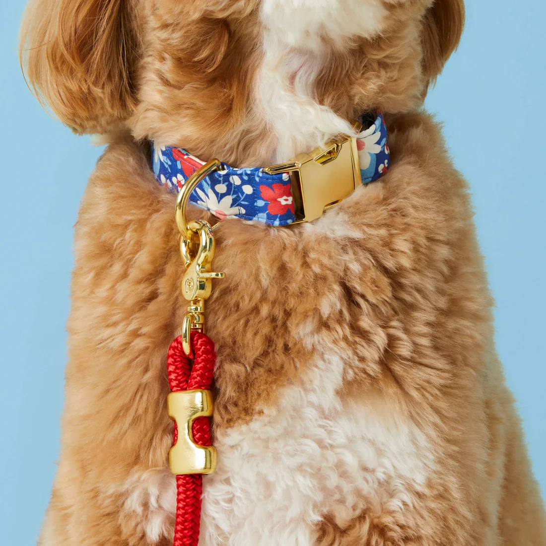 LibertyGarden_Collar