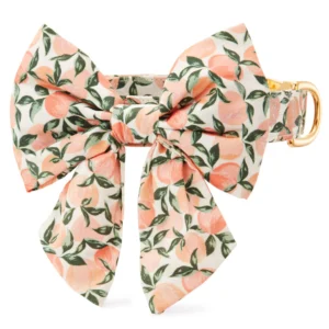 Peaches and Cream Lady Bow Collar
