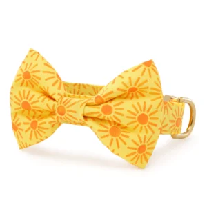 Here Comes the Sun Bow Tie Collar
