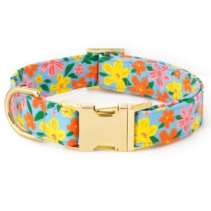 Island Time Dog Collar
