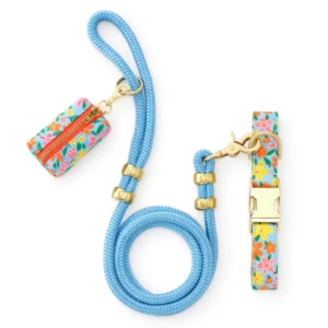 Island Time Collar Walk Set