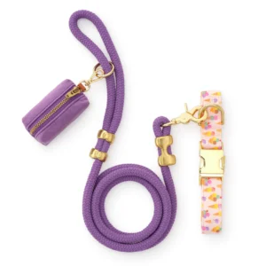 Sundae Funday Collar Walk Set