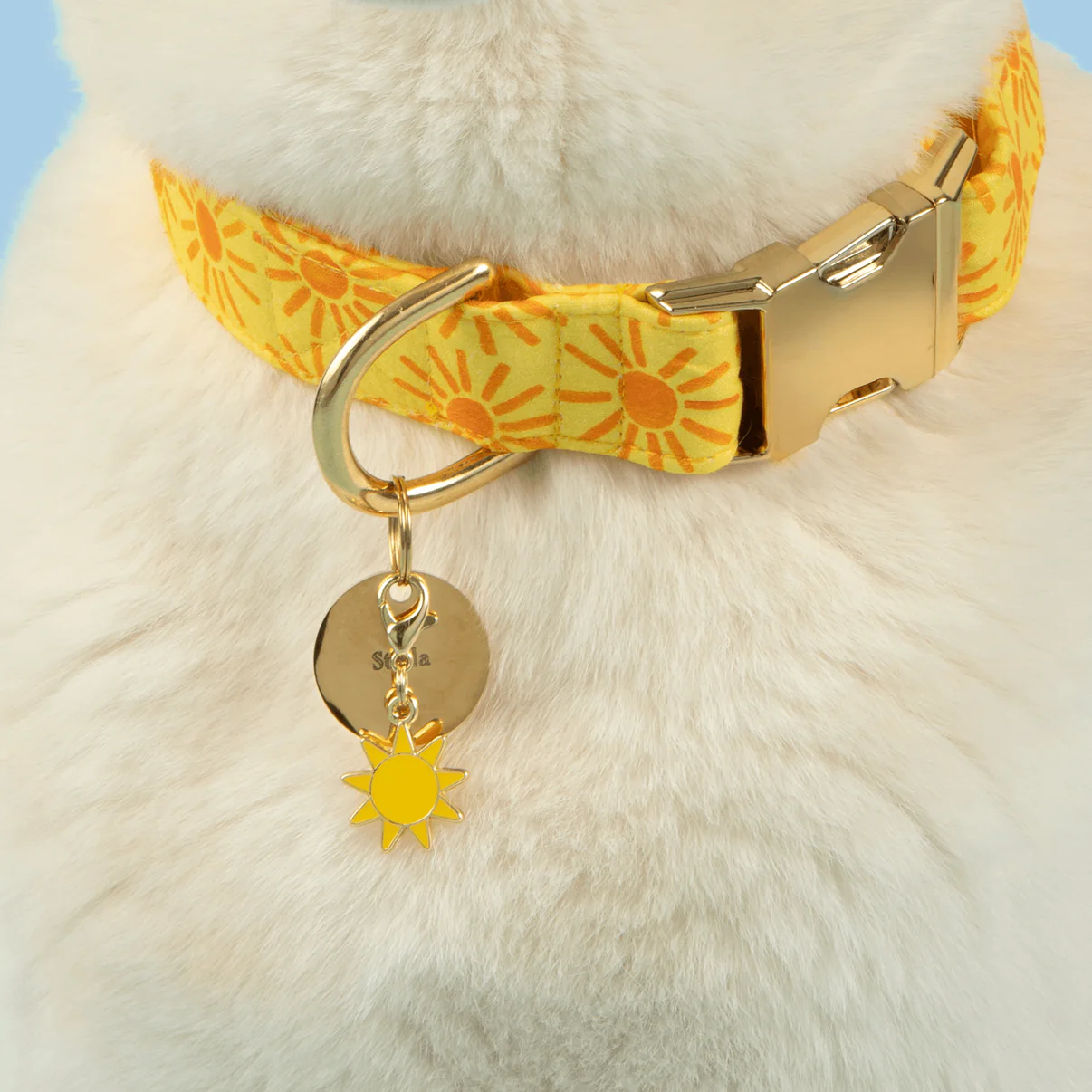 SunCharm-Edited-1_1ba579cf-1da3-4a57-bec6-6008ec3910f3