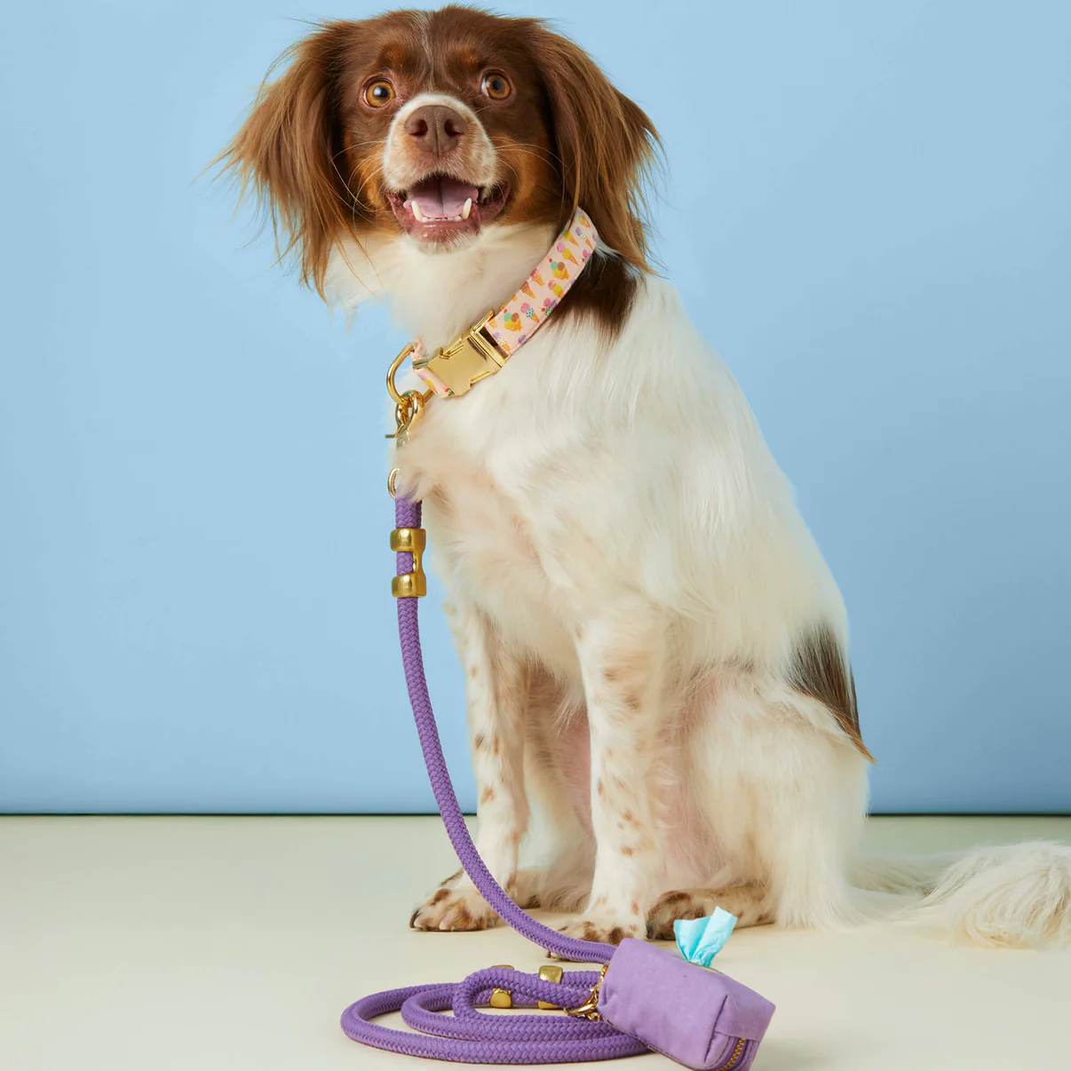 SundaeFunday_WalkSet