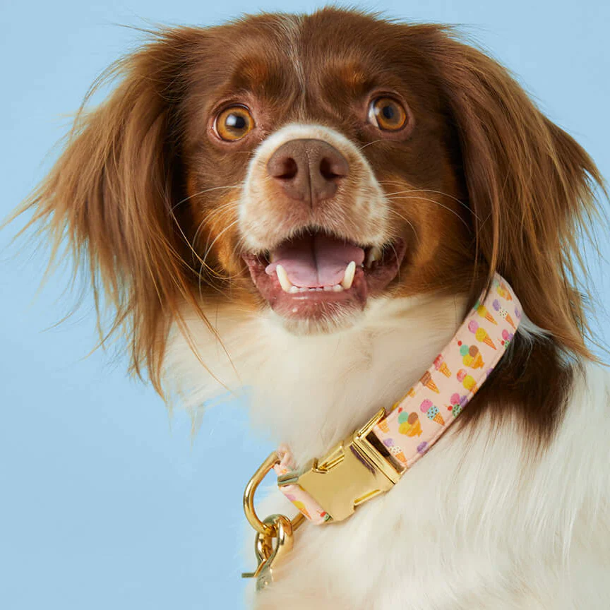 SundaeFunday_WalkSet_d0c849c1-4ea7-41bc-87d7-42e4b508e4af