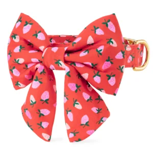 Berry Sweet Lady Bow Collar