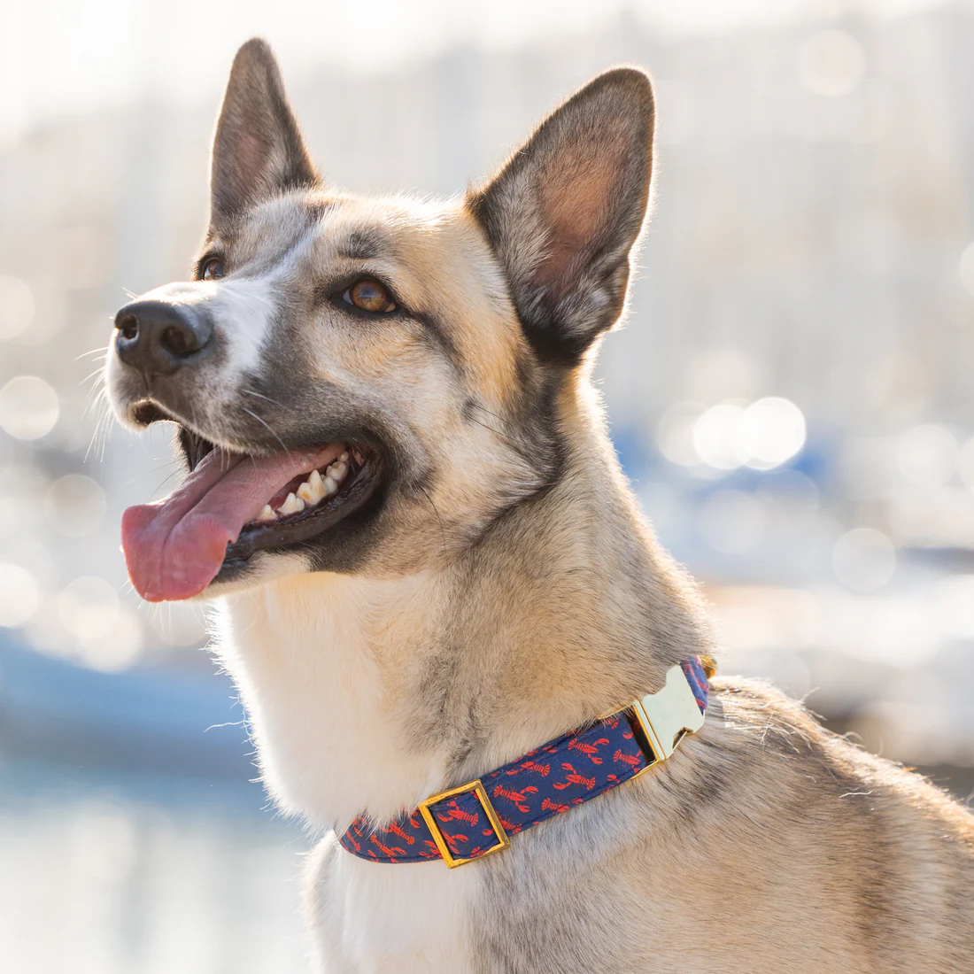 crop_240415_173507-Edit-edit_bc45d93c-5abd-4ad5-9f4a-505c2ad6c60e