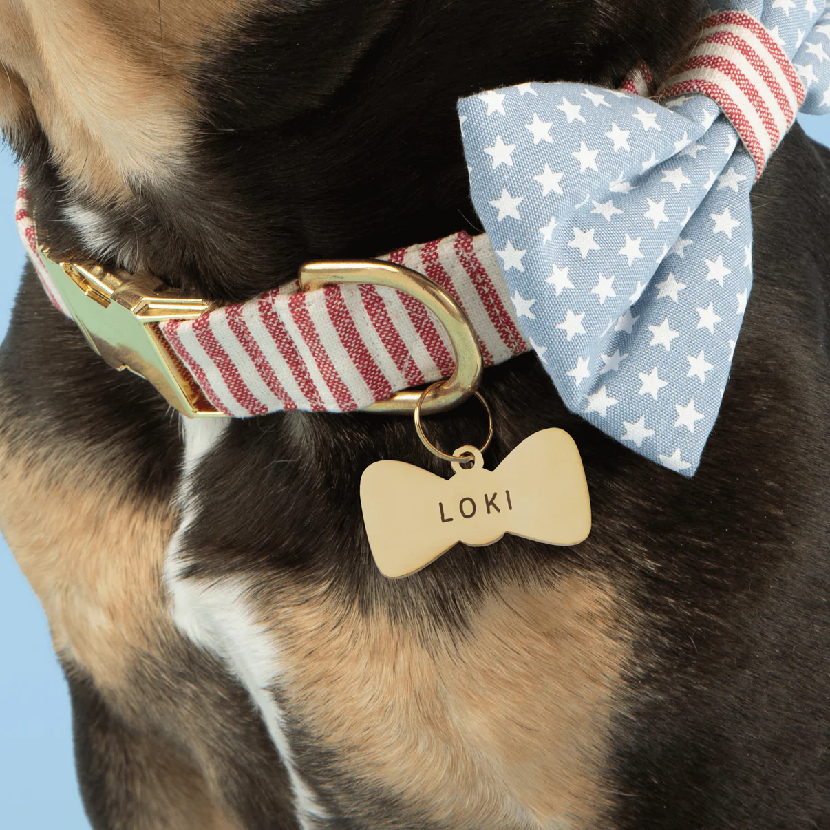 crop_Bowtie_ID_Tag