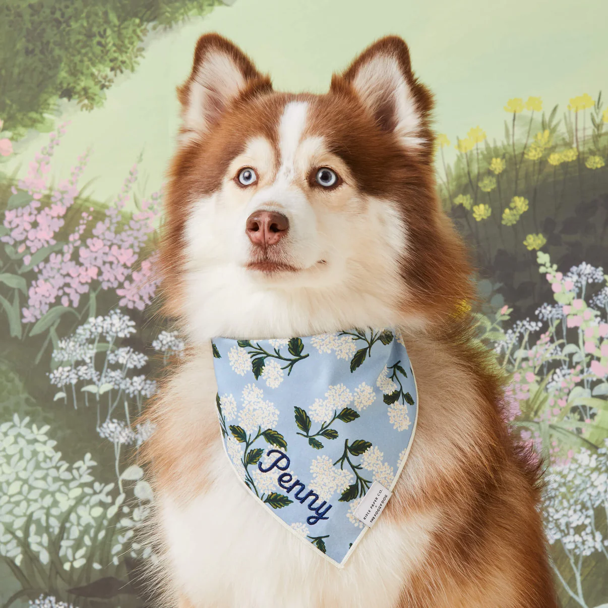 crop_Hydrangea_Bandana_24-12-12_0154
