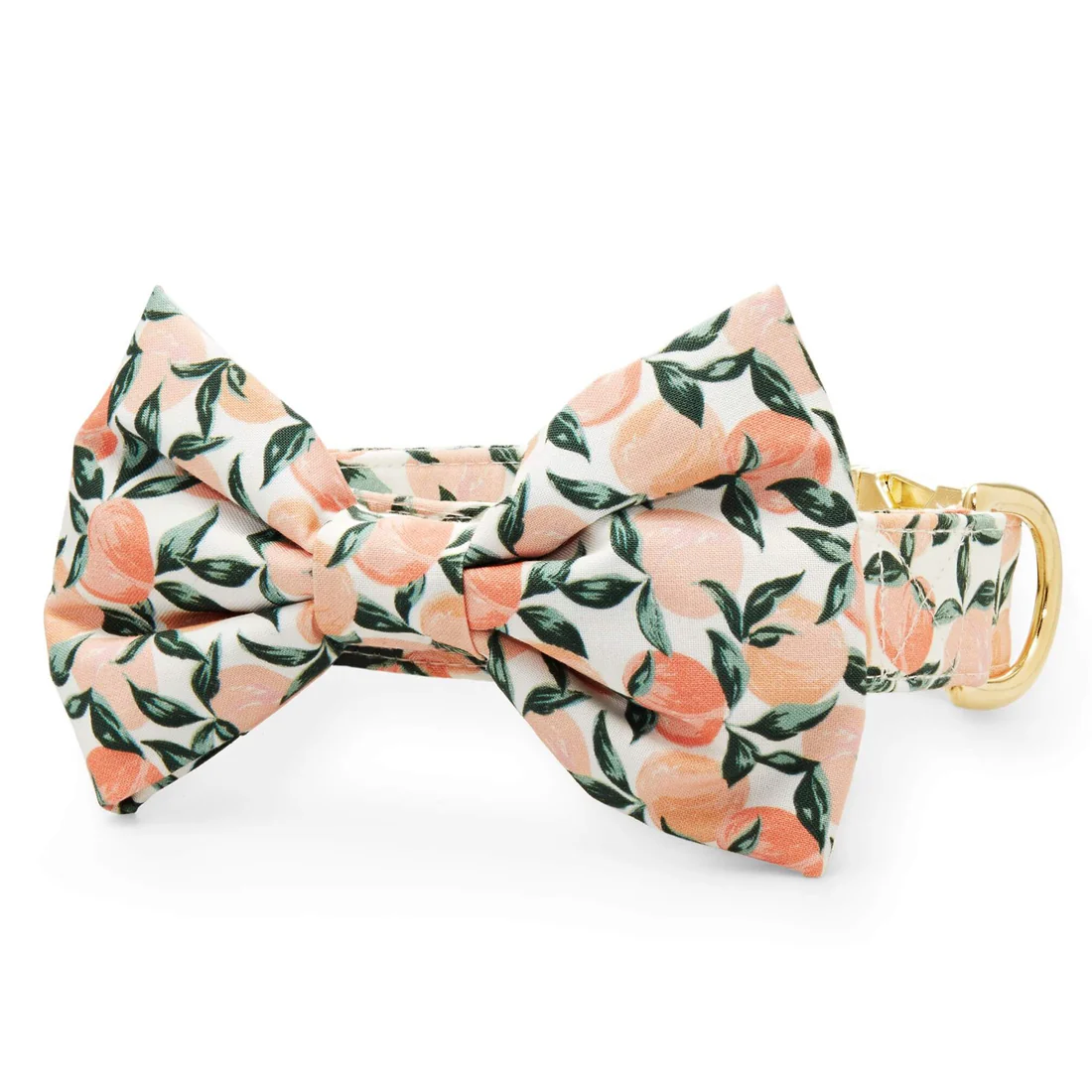 peaches-and-cream-bow-tie-collar-from-the-foggy-dog-383981