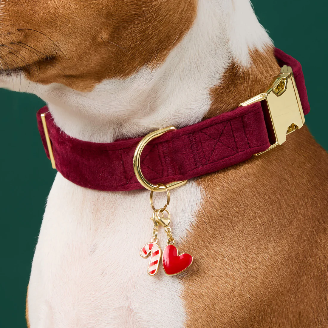 Burgandy_Collar_RedHeart_Chm_CandyCane_Chm_25-08-19_2168_012708_1_d70ed894-d3d8-42eb-9d05-fab75f8c061d
