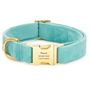 Robin’s Egg Velvet Dog Collar
