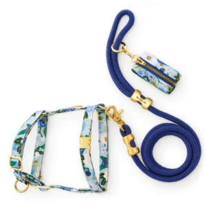 Rifle Paper Co. x TFD Vintage Blossom Harness Walk Set