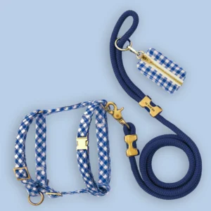 Lake Blue Gingham Harness Walk Set
