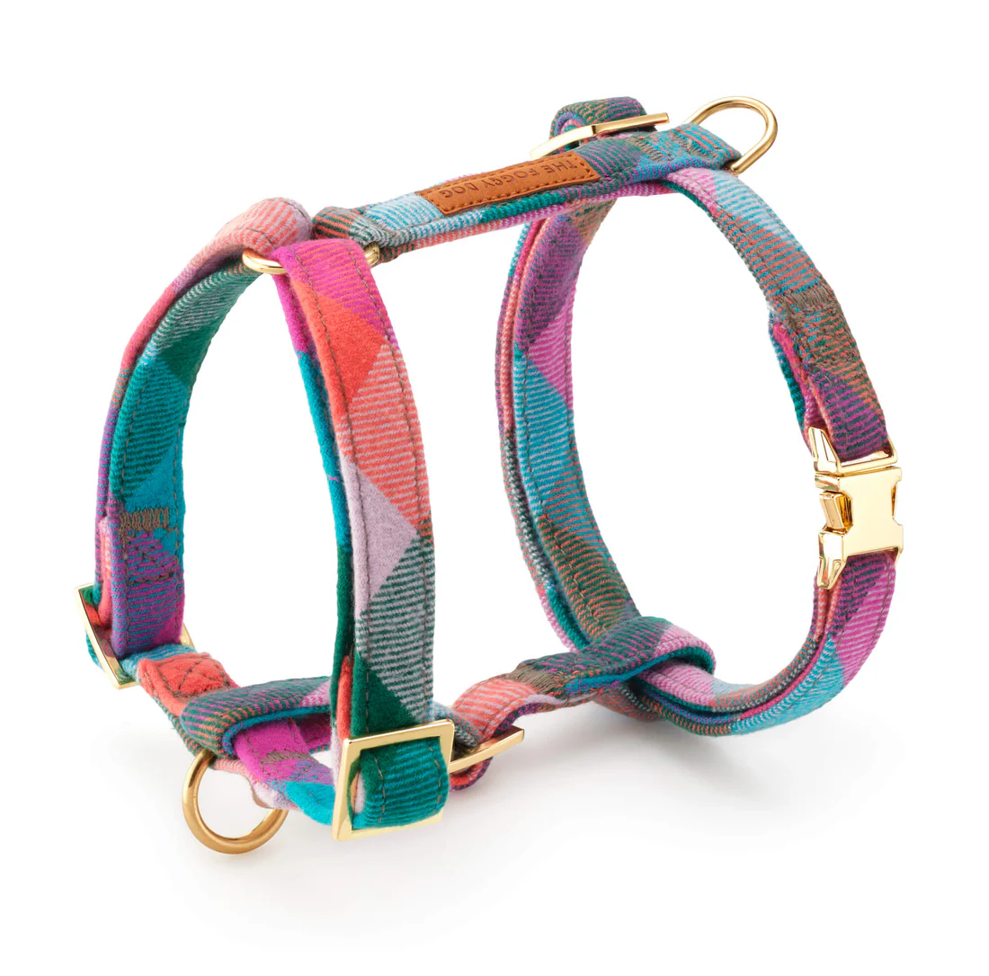 Fall24_Color-Pop_Harness_Side