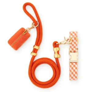 Cider Gingham Collar Walk Set