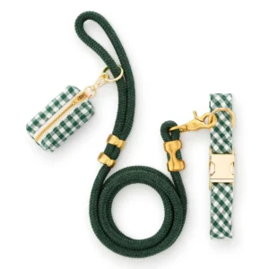 Evergreen Gingham Collar Walk Set