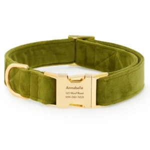 Moss Velvet Dog Collar