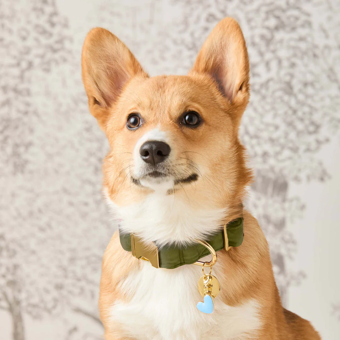 OliveVelvet_Collar_BlueHeart_Charm_25-06-27_1236