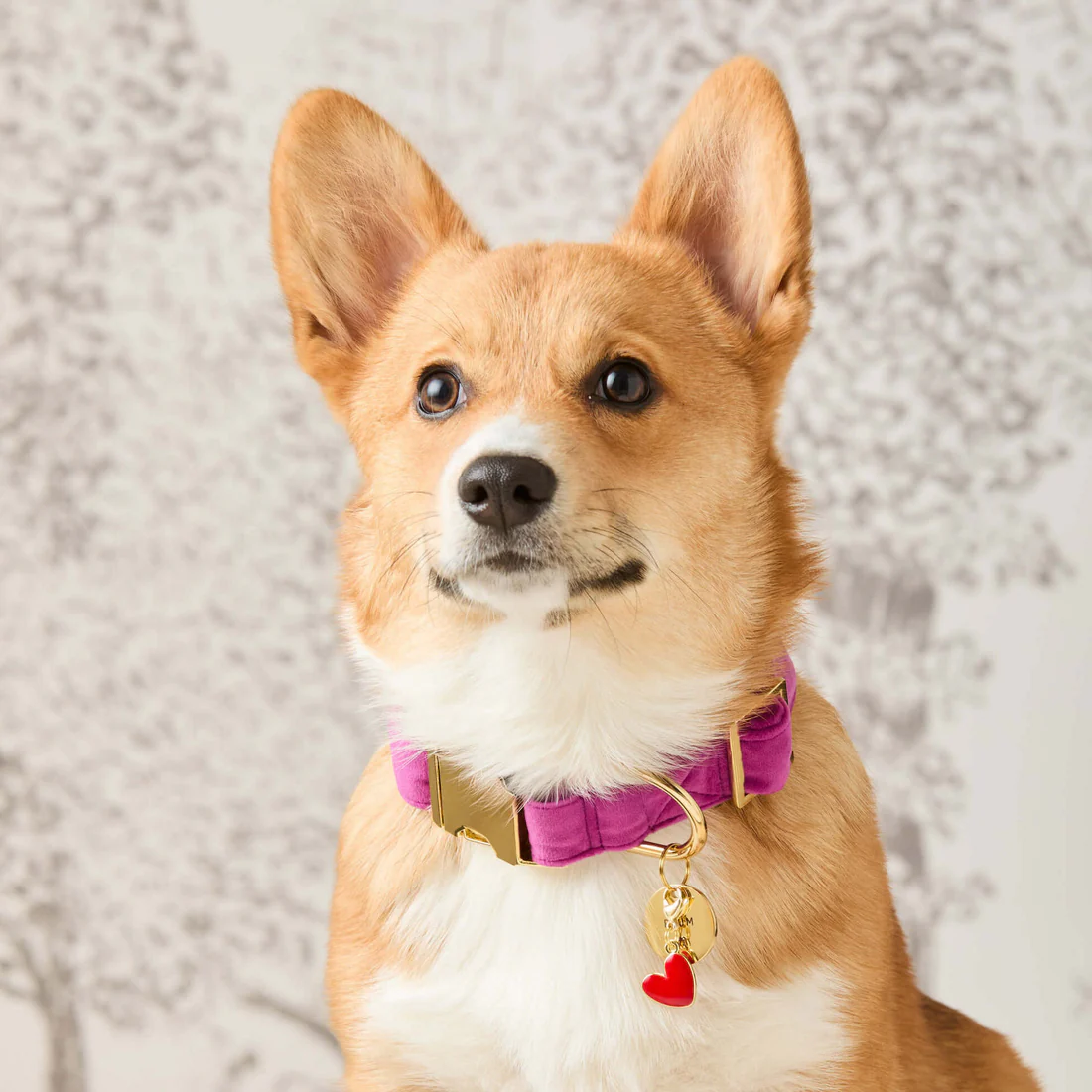 PlumVelvet_Collar_RedHeart_Charm_25-06-27_1236