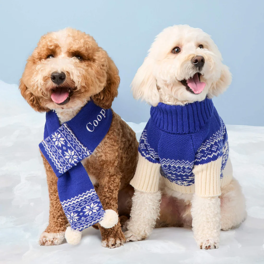 SnowDay_KnitScarf_Sweater_25-08-19_2450_942b57be-6900-4d43-b586-e45cfd856fa5