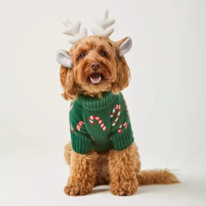 Evergreen Candy Canes Dog Sweater
