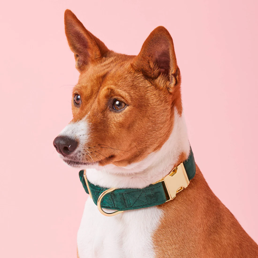 crop_Clover_Charm_24-12-13_1207_46c8ffbe-f81c-4100-9f51-949e8501037b