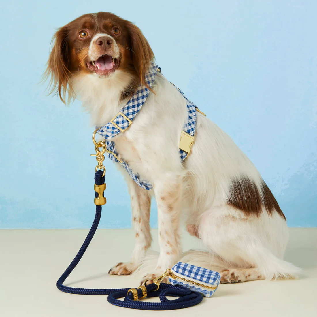 crop_LakeBlueGingham_Harness_WalkSet_25-02-27_27165_2_389d3afd-c1f5-4430-8894-66528a6dc6a7